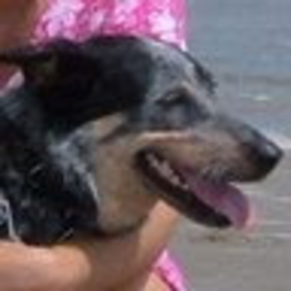 Meet your Posher, G - Picture 1 of 1